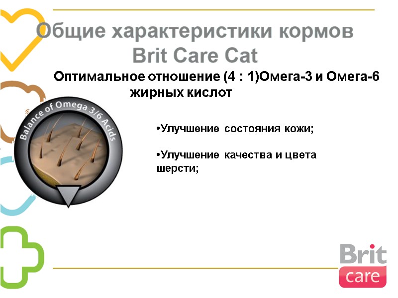 Оптимальное отношение (4 : 1)Омега-3 и Омега-6       